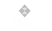 Faggi